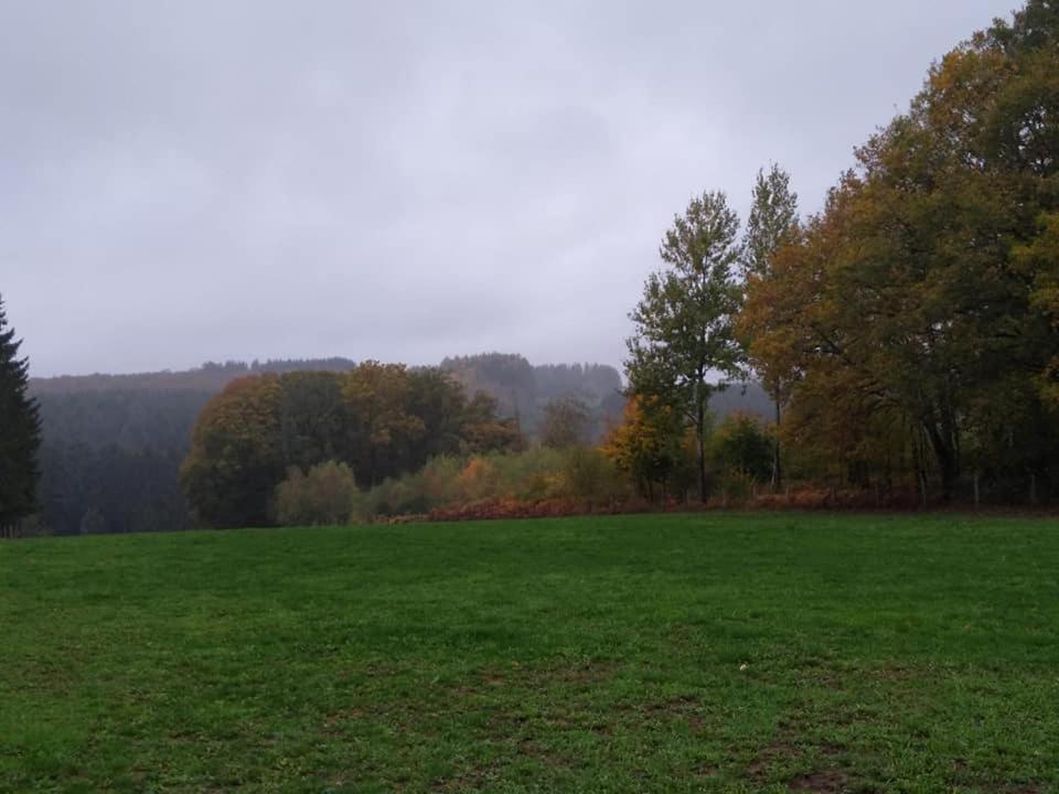 La Bourgseigneurie Hotell Bourseigne-Vieille Eksteriør bilde